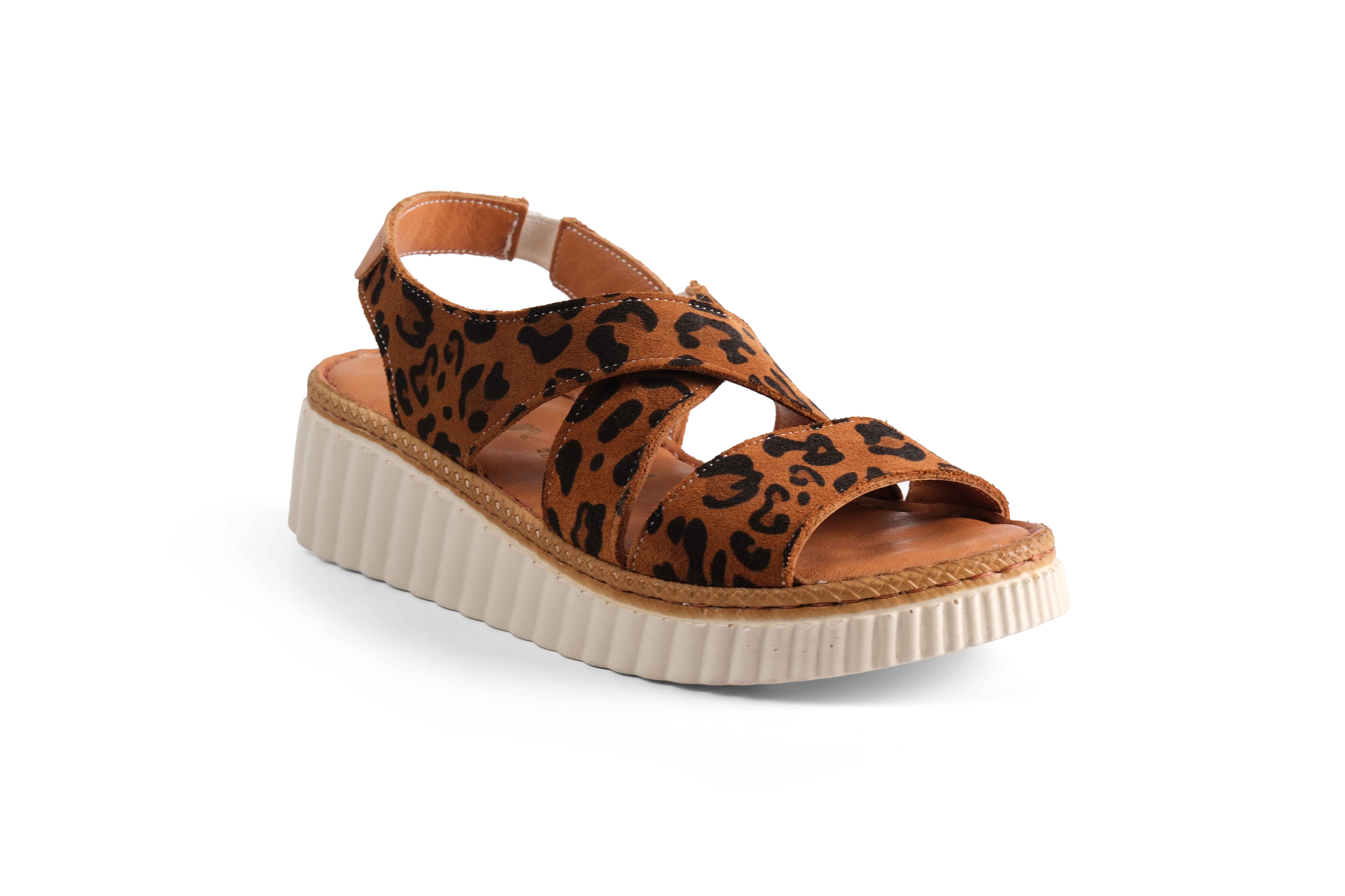 De Had leopard Tan